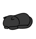 白と黒の毎日2（個別スタンプ：14）