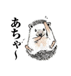 しくじった動物 スタンプ（個別スタンプ：16）