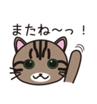 キジトラ猫のイラストスタンプ（個別スタンプ：4）