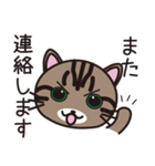 キジトラ猫のイラストスタンプ（個別スタンプ：6）