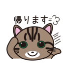 キジトラ猫のイラストスタンプ（個別スタンプ：7）
