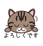 キジトラ猫のイラストスタンプ（個別スタンプ：8）