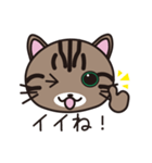 キジトラ猫のイラストスタンプ（個別スタンプ：9）