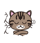 キジトラ猫のイラストスタンプ（個別スタンプ：13）