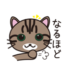 キジトラ猫のイラストスタンプ（個別スタンプ：14）