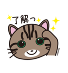 キジトラ猫のイラストスタンプ（個別スタンプ：15）