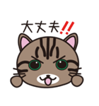 キジトラ猫のイラストスタンプ（個別スタンプ：17）