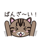 キジトラ猫のイラストスタンプ（個別スタンプ：20）