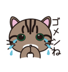キジトラ猫のイラストスタンプ（個別スタンプ：26）