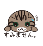 キジトラ猫のイラストスタンプ（個別スタンプ：27）