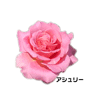 2019年Rose7（個別スタンプ：1）