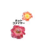 2019年Rose7（個別スタンプ：5）