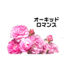 2019年Rose7（個別スタンプ：6）