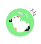nyanya_san（個別スタンプ：12）
