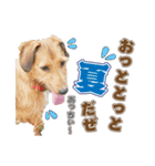 わんぱく犬、ショコラのスタンプ（個別スタンプ：5）