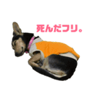 メリーのスタンプ②（個別スタンプ：6）