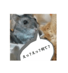 ハムスター,,（個別スタンプ：4）