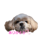 メロディちゃん（個別スタンプ：5）