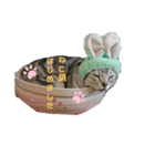 猫にゃん好きスタンプ（個別スタンプ：6）