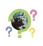 サビ猫のみーこスタンプ（個別スタンプ：8）