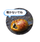 かわいくない生き物と植物（個別スタンプ：8）