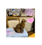 りぃぽぽ❤️（個別スタンプ：4）