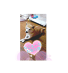 りぃぽぽ❤️（個別スタンプ：7）