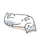 サバトラ猫 てっちゃんの日常（個別スタンプ：5）