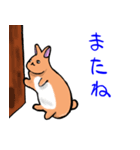 ぴょこぴょこうさぴょん（個別スタンプ：10）