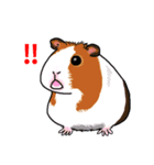 ゆるっとなかよし動物スタンプ（個別スタンプ：4）