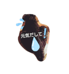 さんま日常いたわりスタンプ（個別スタンプ：2）