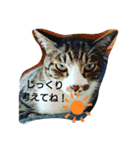 さんま日常いたわりスタンプ（個別スタンプ：5）