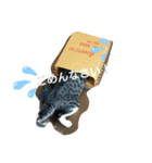 さんま日常いたわりスタンプ（個別スタンプ：8）