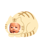 ♡aoto（個別スタンプ：2）