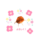 ナマズ  くん（個別スタンプ：22）