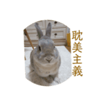 うさぎちゃん四字熟語（個別スタンプ：8）