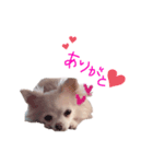 sola❤︎（個別スタンプ：1）