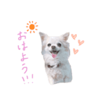 sola❤︎（個別スタンプ：2）