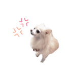 sola❤︎（個別スタンプ：5）