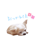 sola❤︎（個別スタンプ：8）