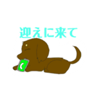 ダックスぐん団（個別スタンプ：5）
