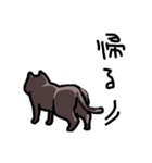黒猫 くまン（個別スタンプ：22）