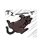 黒猫 くまン（個別スタンプ：37）