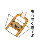 くまのくまジャガ（ほのぼのスタンプ）（個別スタンプ：25）