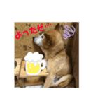 ザウルスno.2（個別スタンプ：5）