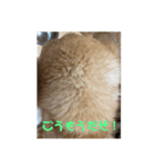 ザウルスno.2（個別スタンプ：8）