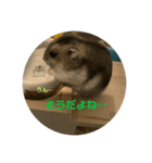 ロキ✩.*˚チロこ（個別スタンプ：2）