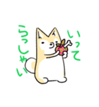 朝の柴犬（個別スタンプ：6）