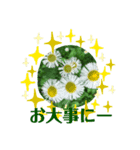 草花のメッセージ（個別スタンプ：2）