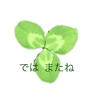 草花のメッセージ（個別スタンプ：6）